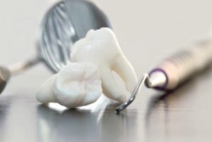 Close-up of two extracted teeth next to dental instruments